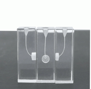 Cubo Transparente Modelo Practica Endo