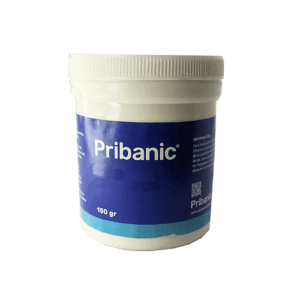 Piedra Pomez PRIBANIC 100gr.