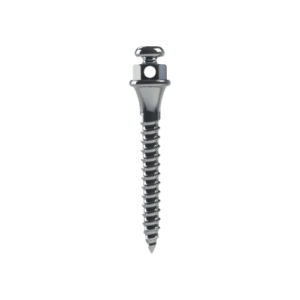 Mini Tornillo De Titanio 10mm / 1.5mm x 2 unids  Morelli